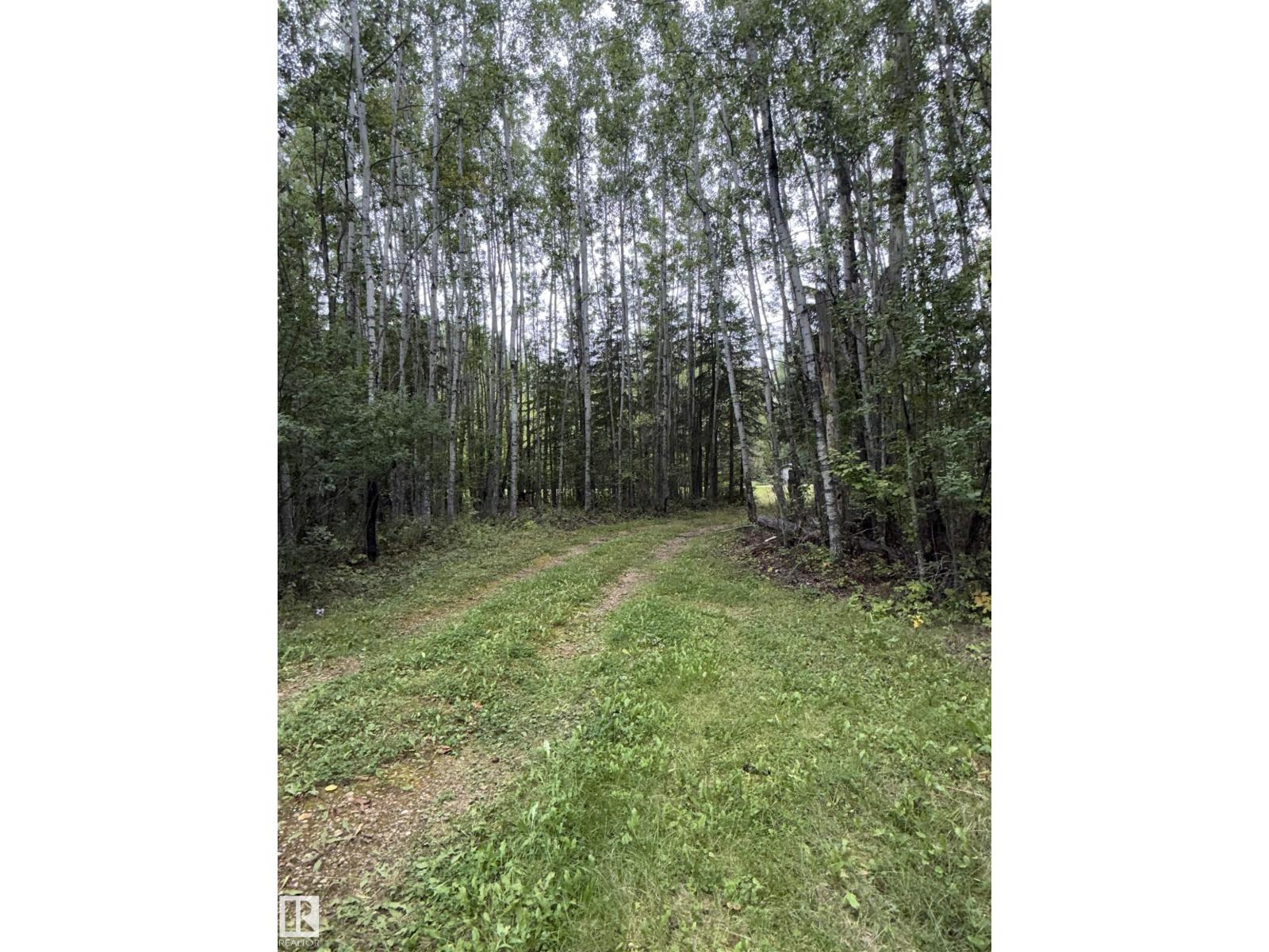 147 David DR - 20
