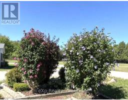 4 - 230 4 Concession, South Bruce, ON N0G1J0 Photo 13