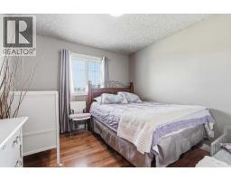 Furnace - 64242 258 Avenue E, Rural Foothills County, AB T1S4G1 Photo 14