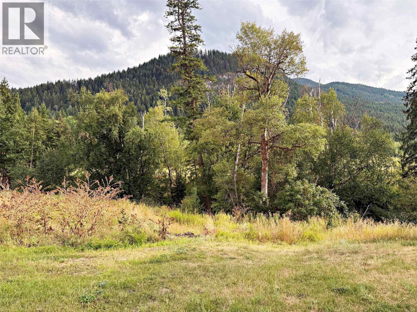 3320 Birch Island Lost Creek Road, Clearwater