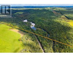 420 Solanum Way, Kawartha Lakes, ON L0A1K0 Photo 44