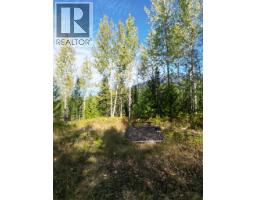387 Galena Shores Drive, Galena Bay, BC V0G1R2 Photo 13