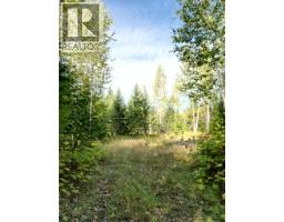 387 Galena Shores Drive, Galena Bay, BC V0G1R2 Photo 12