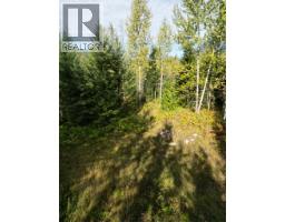387 Galena Shores Drive, Galena Bay, BC V0G1R2 Photo 14