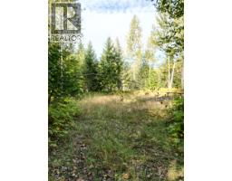 387 Galena Shores Drive, Galena Bay, BC V0G1R2 Photo 11