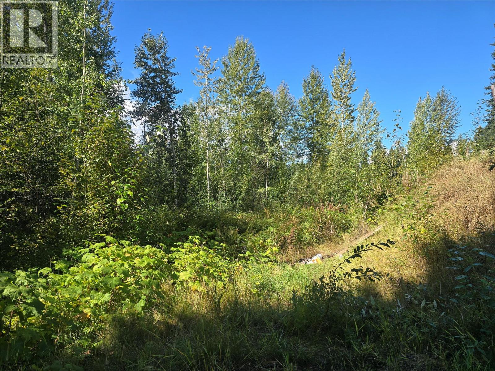 5353 Clearwater Valley Road - 17