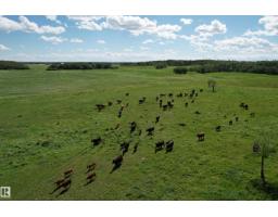 Rr 215 & Twp Rd 520, Rural Strathcona County, AB T8G1B9 Photo 13