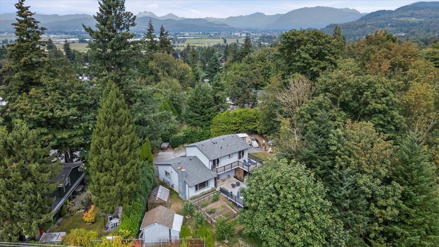 3216 SADDLE STREET, Abbotsford