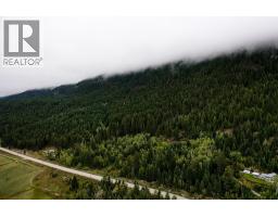 2529 95 Highway, Brisco, BC V0A1B0 Photo 50