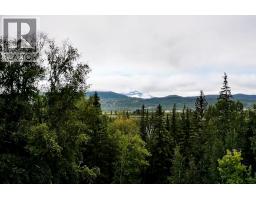 2529 95 Highway, Brisco, BC V0A1B0 Photo 52