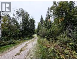2529 95 Highway, Brisco, BC V0A1B0 Photo 55