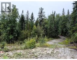 2529 95 Highway, Brisco, BC V0A1B0 Photo 56