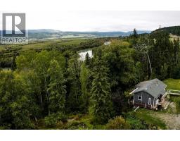 2529 95 Highway, Brisco, BC V0A1B0 Photo 53