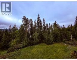 2529 95 Highway, Brisco, BC V0A1B0 Photo 31