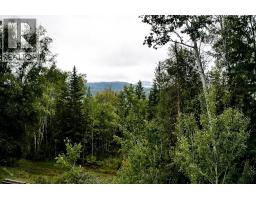 2529 95 Highway, Brisco, BC V0A1B0 Photo 46