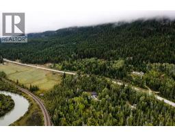 2529 95 Highway, Brisco, BC V0A1B0 Photo 51