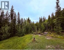 2529 95 Highway, Brisco, BC V0A1B0 Photo 32