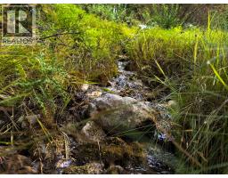 2529 95 Highway, Brisco, BC V0A1B0 Photo 45