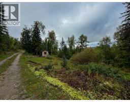 2529 95 Highway, Brisco, BC V0A1B0 Photo 42