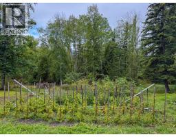 2529 95 Highway, Brisco, BC V0A1B0 Photo 44
