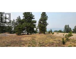 120 Sasquatch Court, Osoyoos, BC V0H1V6 Photo 8