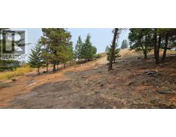 120 Sasquatch Court, Osoyoos, BC V0H1V6 Photo 40