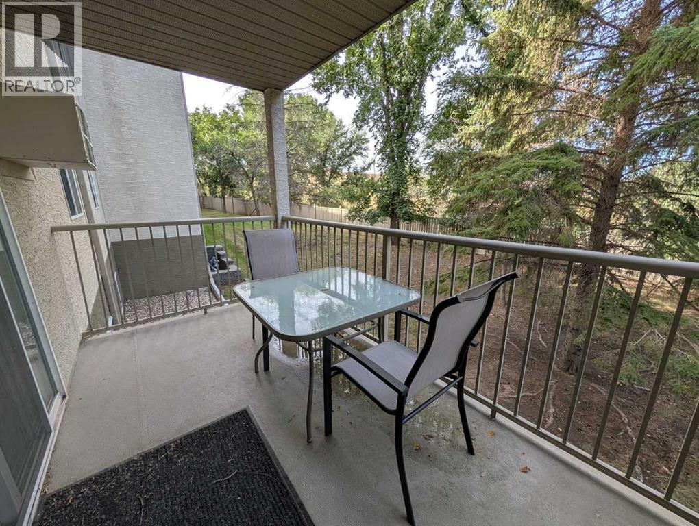#208 245 Red Deer Drive SW - 29