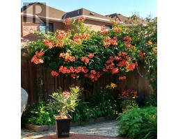 181 Purcell Crescent, Vaughan, ON L6A3C5 Photo 37