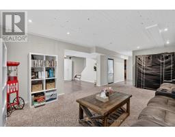 6543 Chippewa Road E, Hamilton, ON L0R1W0 Photo 31