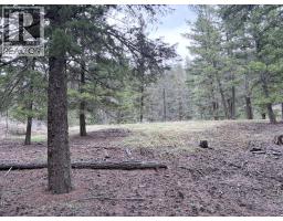 5667 Highway 12 Highway, Lillooet, BC V0K1V0 Photo 14