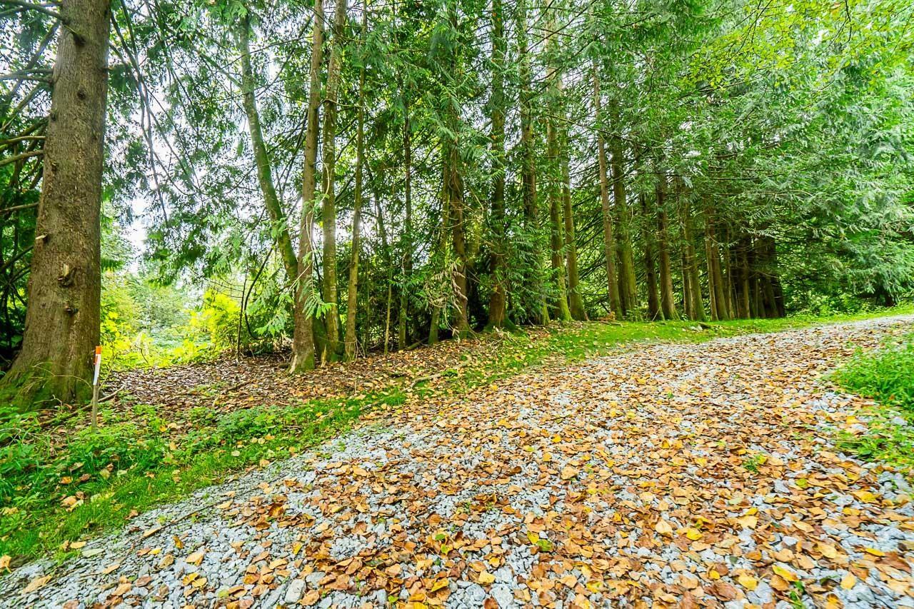 12181-12241 STAVE LAKE ROAD, Mission