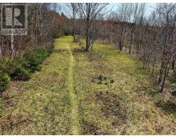 Broad Cove Marsh Road, Broad Cove Chapel, NS B0E1N0 Photo 16