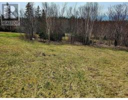 Broad Cove Marsh Road, Broad Cove Chapel, NS B0E1N0 Photo 22