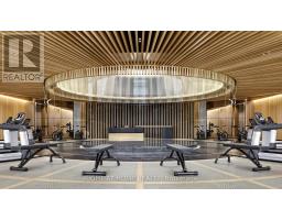819 - 15 Mercer Street, Toronto, ON M5V1H2 Photo 13