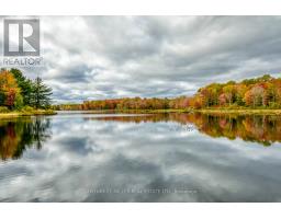 6 - 4805 Muskoka District 169 Road, Muskoka Lakes, ON P0C1H0 Photo 49