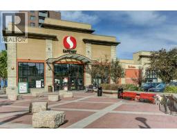 308, 327 9a Street Nw, Calgary, AB T2N1T7 Photo 39