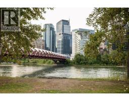 308, 327 9a Street Nw, Calgary, AB T2N1T7 Photo 41
