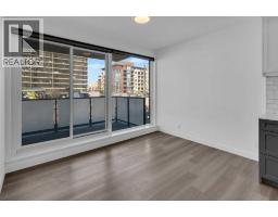 308, 327 9a Street Nw, Calgary, AB T2N1T7 Photo 11