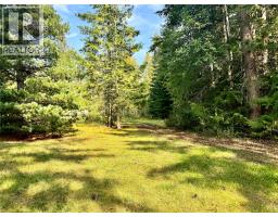 Lot 3 Queest N. Bay, Sicamous, BC V0E2V0 Photo 34