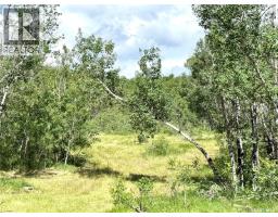 Duddridge Acres, Battle River Rm No  438, SK S0M0E0 Photo 29