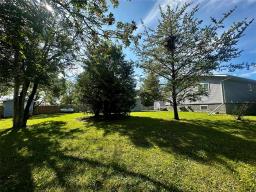 8 Allard Place, The Pas, MB R9A1T3 Photo 31