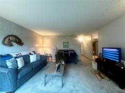 8 Allard Place, The Pas, MB R9A1T3 Photo 10