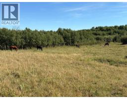 Near Sedden Road, Beazer, AB T0K0K0 Photo 9