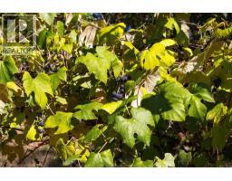 11196 North Watts Rd, Saltair, BC V9G1Y6 Photo 26