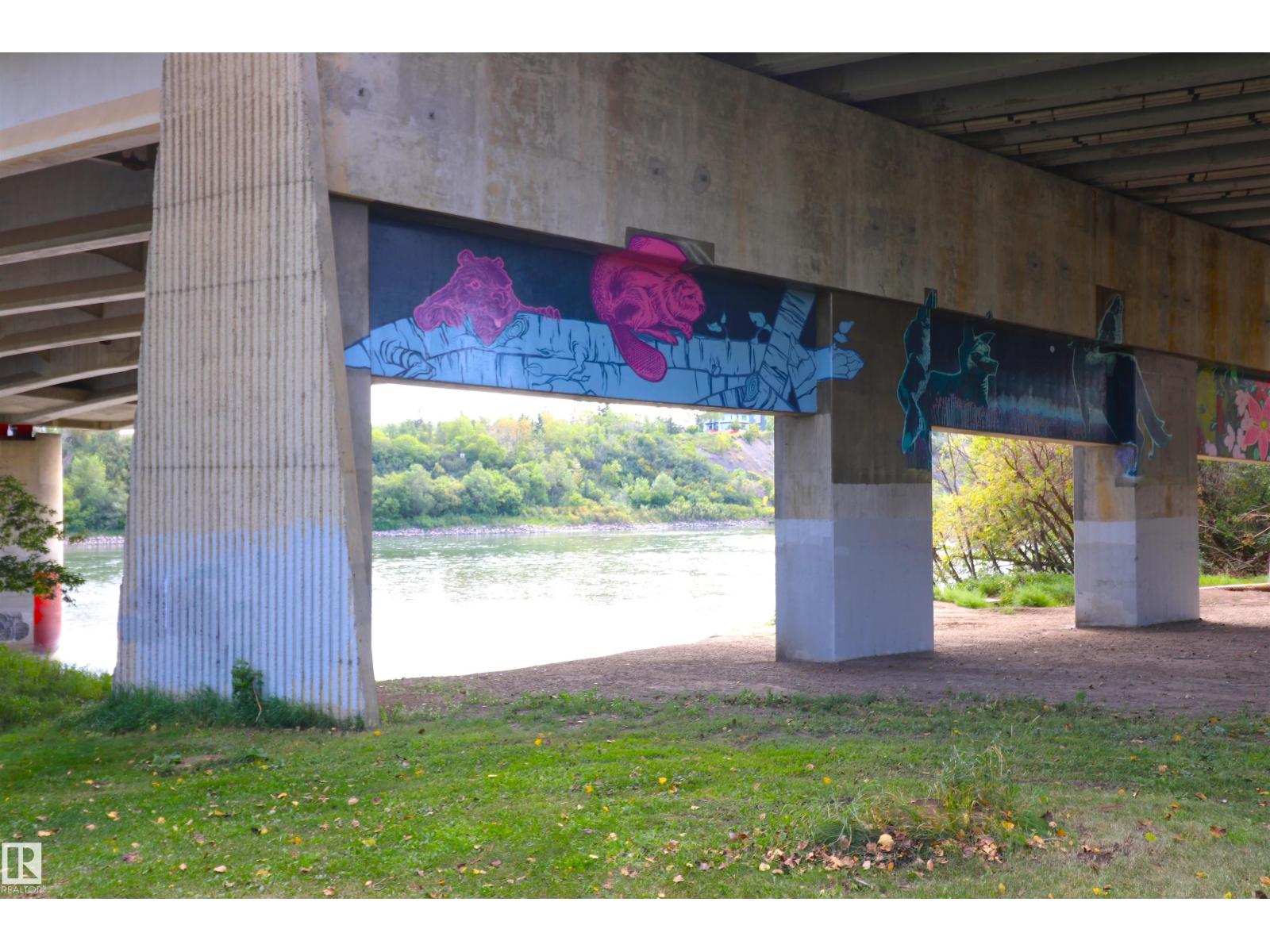 #103 9804 101 ST NW - Image 45
