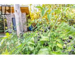 877 Hutchinson Rd, Cobble Hill, BC V0R1L0 Photo 44