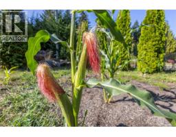 877 Hutchinson Rd, Cobble Hill, BC V0R1L0 Photo 47