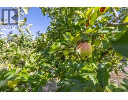 877 Hutchinson Rd, Cobble Hill, BC V0R1L0 Photo 49