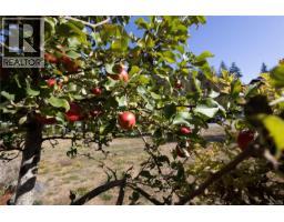 877 Hutchinson Rd, Cobble Hill, BC V0R1L0 Photo 52