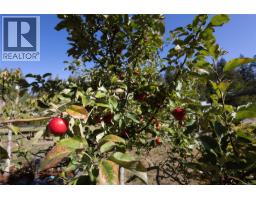 877 Hutchinson Rd, Cobble Hill, BC V0R1L0 Photo 53
